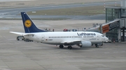 Lufthansa Boeing 737-530 (D-ABJH) at  Dusseldorf - International, Germany