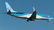 TUIfly Boeing 737-86J (D-ABKI) at  Frankfurt am Main, Germany