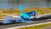 TUIfly Boeing 737-86J (D-ABKM) at  Corfu - International, Greece