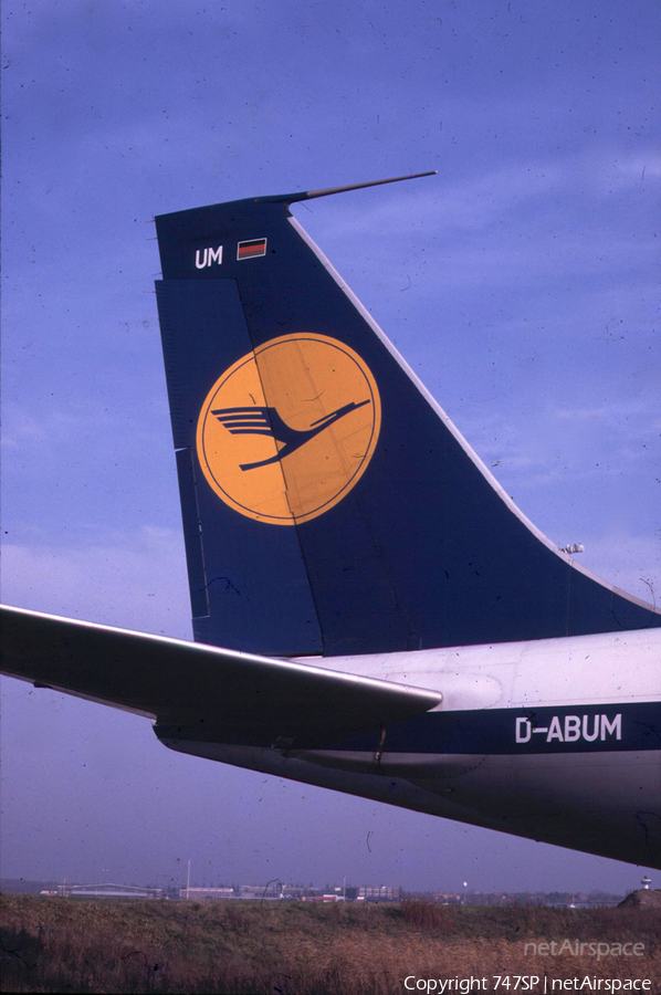 Lufthansa Boeing 707-330B (D-ABUM) | Photo 40299