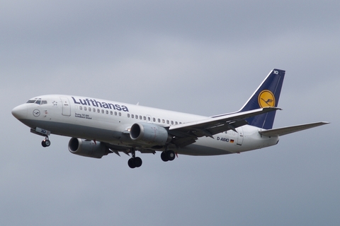 Lufthansa Boeing 737-330 (D-ABXO) at  Frankfurt am Main, Germany