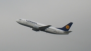 Lufthansa Boeing 737-330 (D-ABXT) at  Dusseldorf - International, Germany