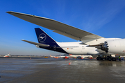 Lufthansa Boeing 747-830 (D-ABYA) at  Hamburg - Fuhlsbuettel (Helmut Schmidt), Germany