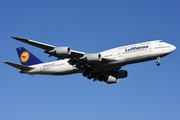 Lufthansa Boeing 747-830 (D-ABYC) at  Johannesburg - O.R.Tambo International, South Africa