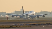 Lufthansa Boeing 747-830 (D-ABYD) at  Frankfurt am Main, Germany