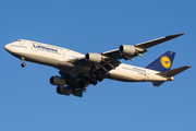 Lufthansa Boeing 747-830 (D-ABYF) at  New York - John F. Kennedy International, United States