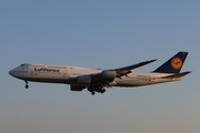 Lufthansa Boeing 747-830 (D-ABYG) at  Frankfurt am Main, Germany