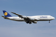 Lufthansa Boeing 747-830 (D-ABYG) at  Frankfurt am Main, Germany