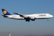 Lufthansa Boeing 747-830 (D-ABYH) at  Frankfurt am Main, Germany