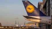 Lufthansa Boeing 747-830 (D-ABYH) at  Hamburg - Fuhlsbuettel (Helmut Schmidt), Germany