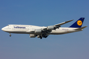 Lufthansa Boeing 747-830 (D-ABYJ) at  Frankfurt am Main, Germany