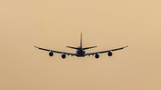 Lufthansa Boeing 747-830 (D-ABYJ) at  Sao Paulo - Guarulhos - Andre Franco Montoro (Cumbica), Brazil