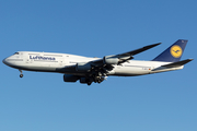 Lufthansa Boeing 747-830 (D-ABYL) at  Newark - Liberty International, United States