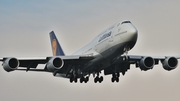 Lufthansa Boeing 747-830 (D-ABYL) at  Frankfurt am Main, Germany