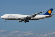 Lufthansa Boeing 747-830 (D-ABYL) at  Frankfurt am Main, Germany