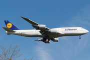 Lufthansa Boeing 747-830 (D-ABYM) at  Frankfurt am Main, Germany