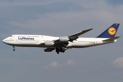 Lufthansa Boeing 747-830 (D-ABYM) at  Frankfurt am Main, Germany