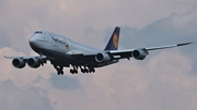 Lufthansa Boeing 747-830 (D-ABYO) at  Frankfurt am Main, Germany