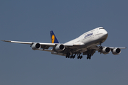 Lufthansa Boeing 747-830 (D-ABYO) at  Johannesburg - O.R.Tambo International, South Africa