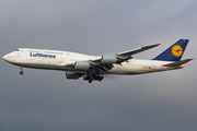 Lufthansa Boeing 747-830 (D-ABYR) at  Frankfurt am Main, Germany