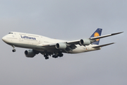 Lufthansa Boeing 747-830 (D-ABYR) at  Frankfurt am Main, Germany