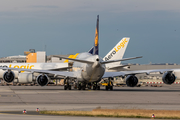 Lufthansa Boeing 747-830 (D-ABYR) at  Frankfurt am Main, Germany