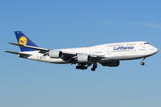 Lufthansa Boeing 747-830 (D-ABYS) at  Frankfurt am Main, Germany