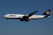 Lufthansa Boeing 747-830 (D-ABYS) at  Johannesburg - O.R.Tambo International, South Africa