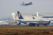 Lufthansa Boeing 747-830 (D-ABYT) at  Frankfurt am Main, Germany