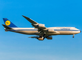 Lufthansa Boeing 747-830 (D-ABYT) at  Sao Paulo - Guarulhos - Andre Franco Montoro (Cumbica), Brazil