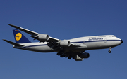 Lufthansa Boeing 747-830 (D-ABYT) at  Johannesburg - O.R.Tambo International, South Africa