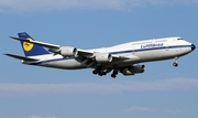 Lufthansa Boeing 747-830 (D-ABYT) at  Johannesburg - O.R.Tambo International, South Africa