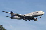 Lufthansa Boeing 747-830 (D-ABYU) at  Frankfurt am Main, Germany