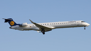 Lufthansa Regional (CityLine) Bombardier CRJ-900ER (D-ACKJ) at  Frankfurt am Main, Germany