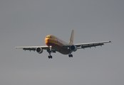 DHL (European Air Transport Leipzig) Airbus A300F4-622R (D-AEAK) at  Belfast / Aldergrove - International, United Kingdom