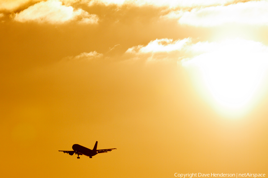 DHL (European Air Transport Leipzig) Airbus A300F4-622R (D-AEAO) | Photo 21530