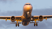 Lufthansa Cargo Airbus A321-211(P2F) (D-AEUC) at  Frankfurt am Main, Germany