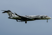 FAI Rent-A-Jet Bombardier BD-700-1A10 Global Express (D-AFAL) at  Hamburg - Fuhlsbuettel (Helmut Schmidt), Germany