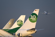 Germania Boeing 737-75B (D-AGER) at  Tenerife Sur - Reina Sofia, Spain