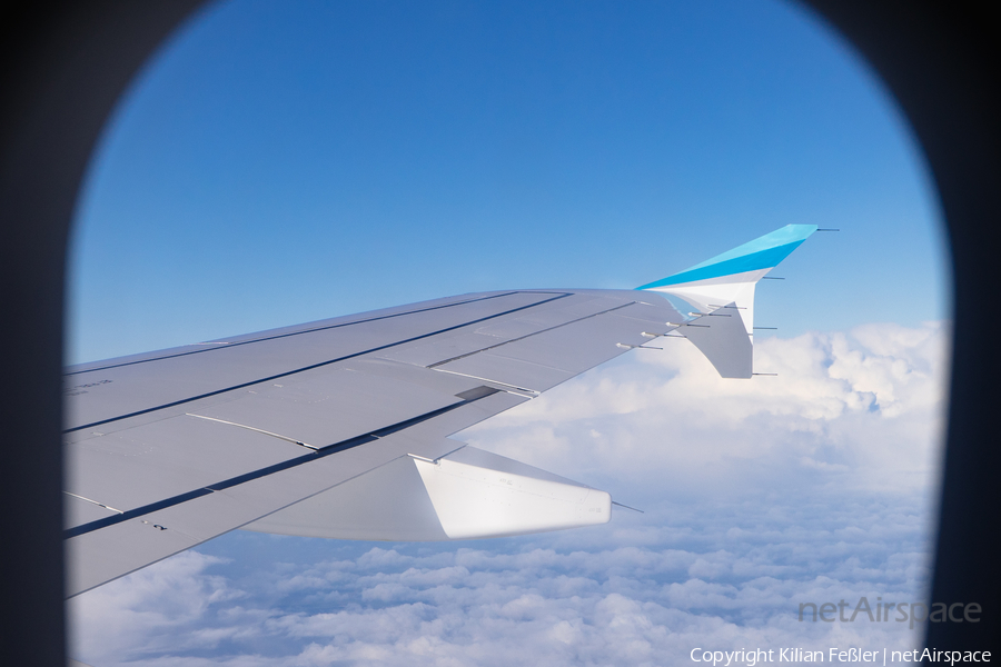 Eurowings Airbus A319-132 (D-AGWD) | Photo 495874