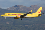 Hapagfly Boeing 737-8K5 (D-AHFA) at  Tenerife Sur - Reina Sofia, Spain