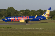 TUIfly Boeing 737-8K5 (D-AHFM) at  Hamburg - Fuhlsbuettel (Helmut Schmidt), Germany