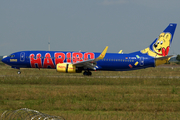 TUIfly Boeing 737-8K5 (D-AHFM) at  Stuttgart, Germany