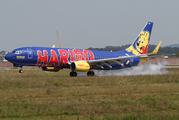 TUIfly Boeing 737-8K5 (D-AHFM) at  Stuttgart, Germany