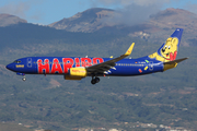 TUIfly Boeing 737-8K5 (D-AHFM) at  Tenerife Sur - Reina Sofia, Spain