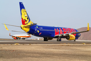 TUIfly Boeing 737-8K5 (D-AHFM) at  Tenerife Sur - Reina Sofia, Spain