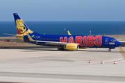 TUIfly Boeing 737-8K5 (D-AHFM) at  Tenerife Sur - Reina Sofia, Spain