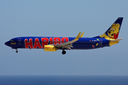 TUIfly Boeing 737-8K5 (D-AHFM) at  Tenerife Sur - Reina Sofia, Spain