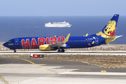 TUIfly Boeing 737-8K5 (D-AHFM) at  Tenerife Sur - Reina Sofia, Spain