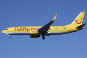 TUIfly Boeing 737-8K5 (D-AHFQ) at  Hamburg - Fuhlsbuettel (Helmut Schmidt), Germany